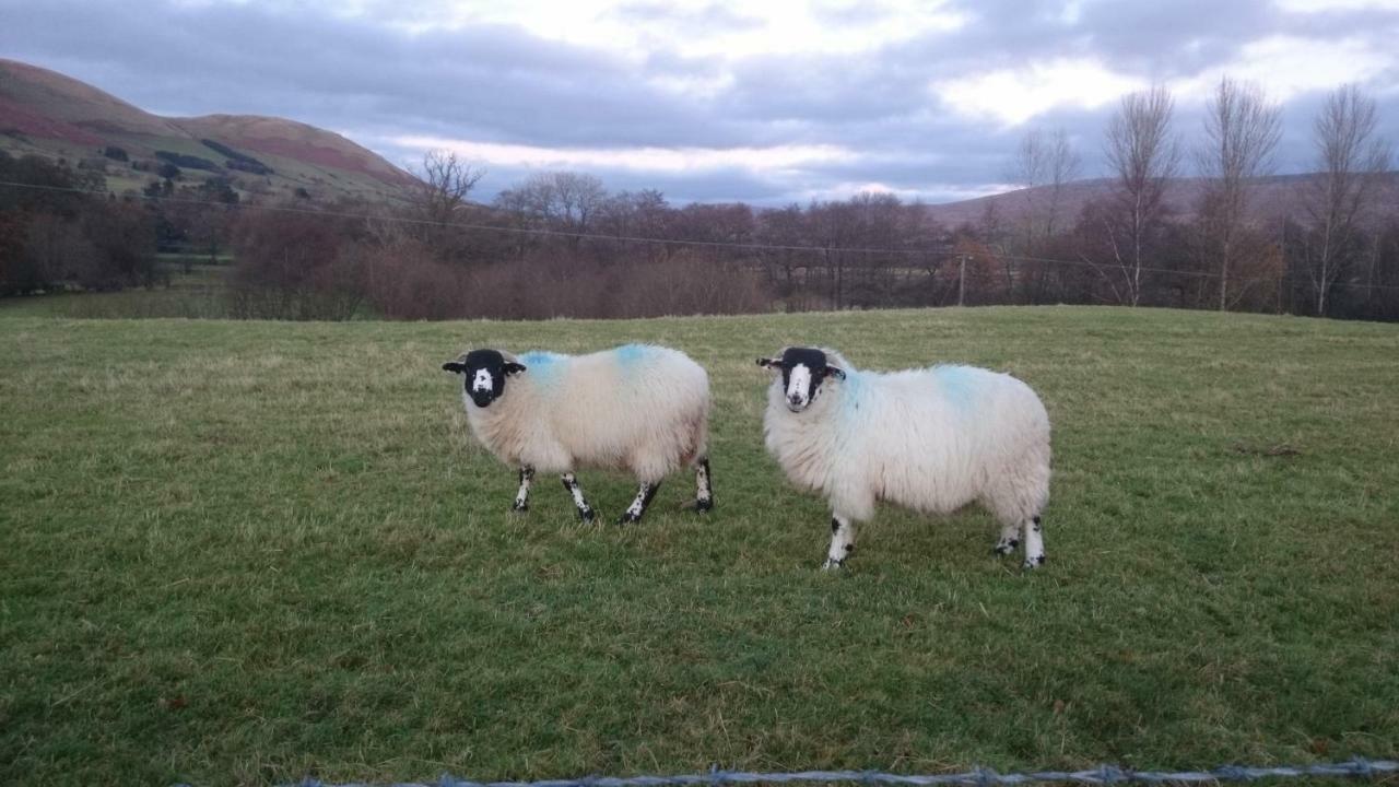 La’al yam Villa Sedbergh Dış mekan fotoğraf