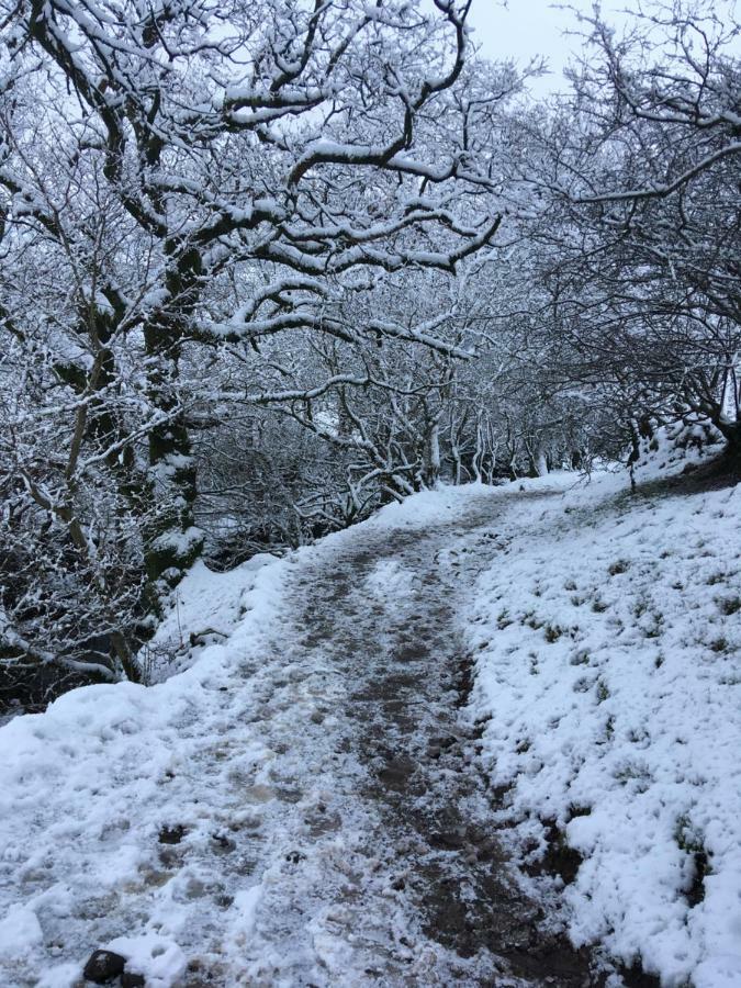 La’al yam Villa Sedbergh Dış mekan fotoğraf