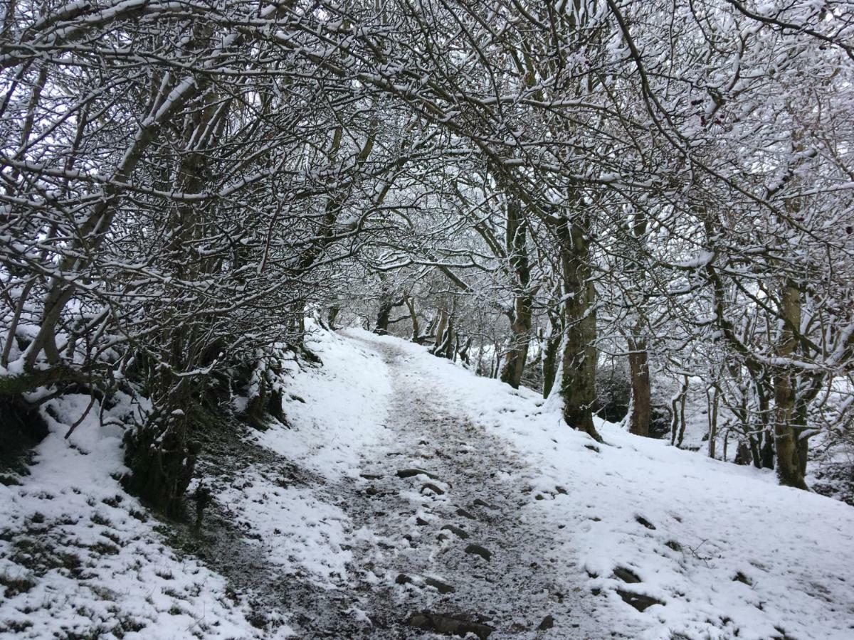 La’al yam Villa Sedbergh Dış mekan fotoğraf